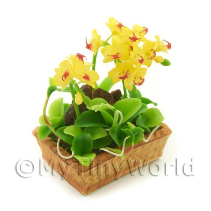 Dolls House Miniature Yellow / Red Dendrobium Orchid Display