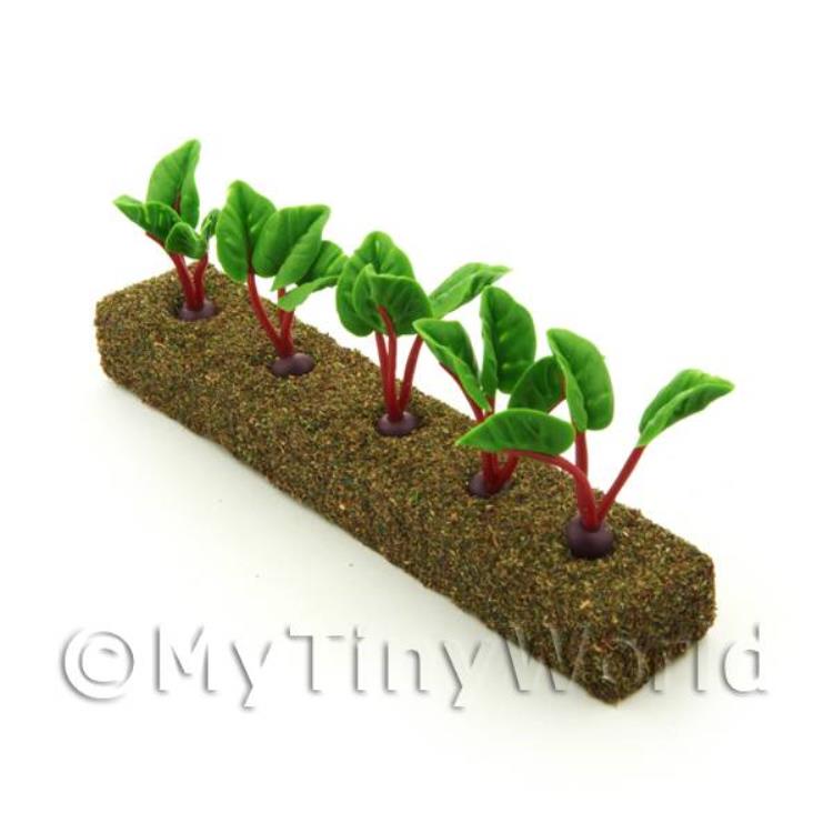 Dolls House Miniature Strip of 5 Beetroot For The Allotment