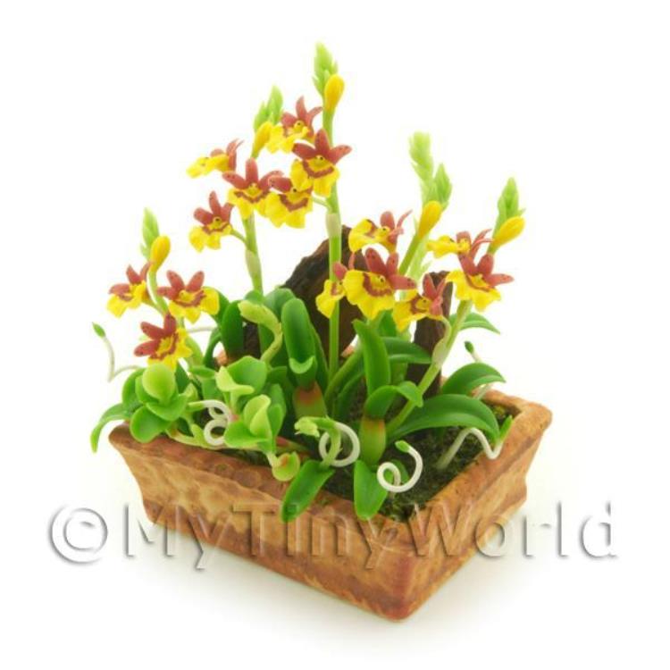 Dolls House Miniature Dusty Red / Yellow Demdrobium Orchids