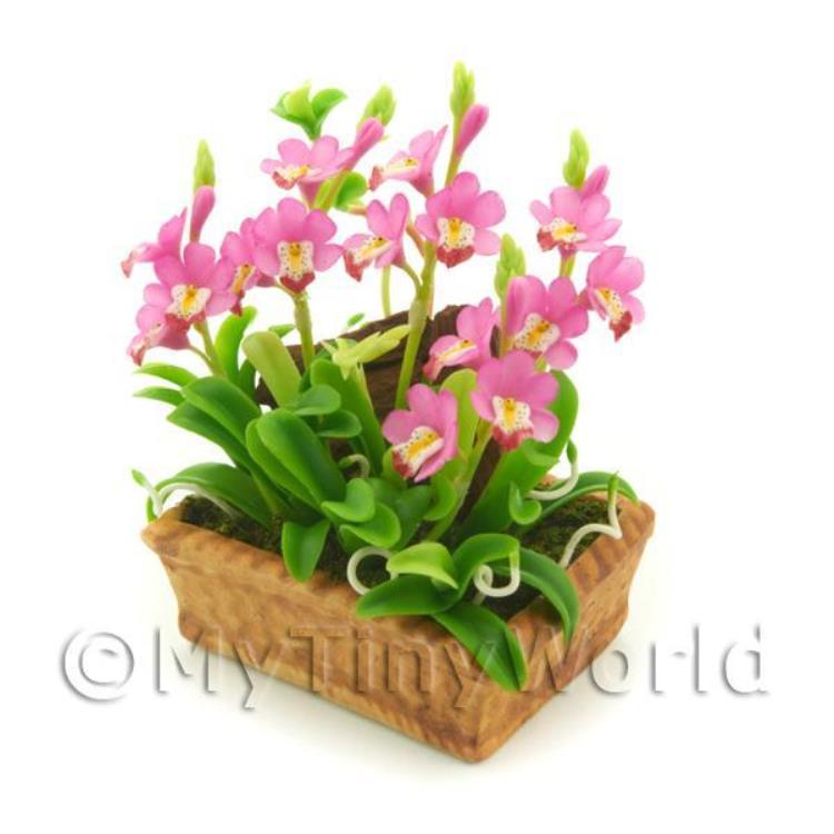 Dolls House Miniature Light Pink Cattleya Orchid Display