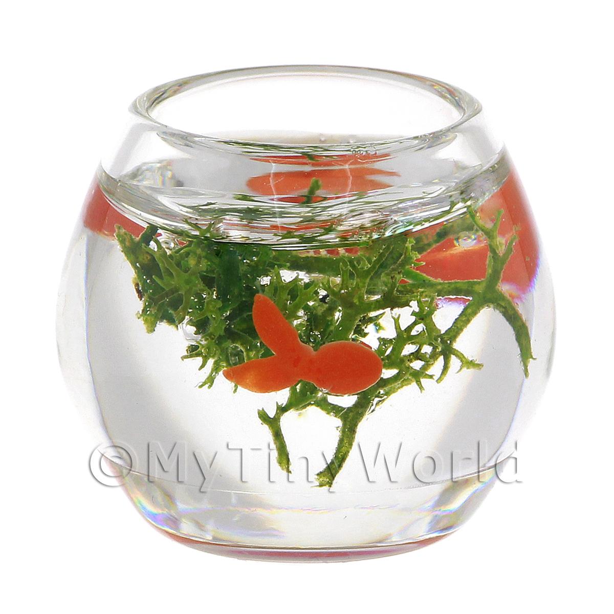 1:12 Scale 2 Fan Tail Goldfish In A Glass Bowl Tumdee Dolls House Tank Aquarium 