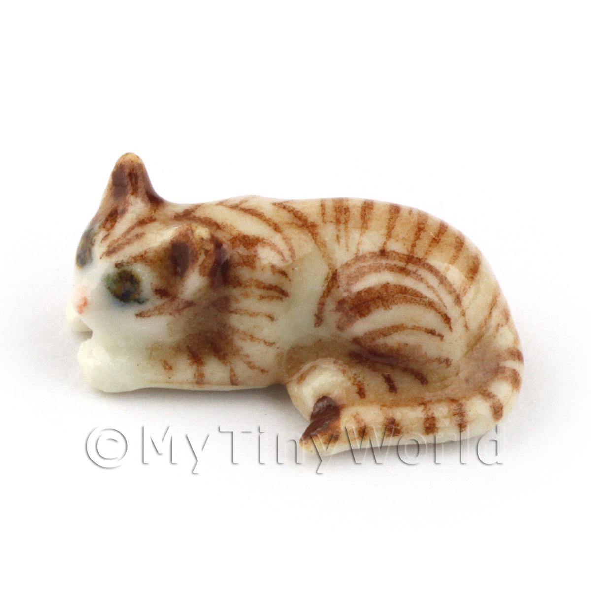 Miniature tabby sales cat