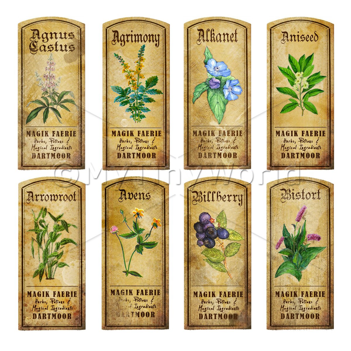 Dolls House Herbalist/apothecary Short Herb Colour Label Set 5 