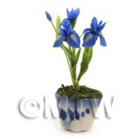 Dolls House Miniature Blue Iris 