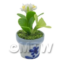 Dolls House Miniature White Plumeria 