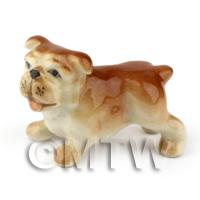 Dolls House MIniature Ceramic Bull Dog