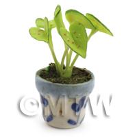 Dolls House Miniature Venus Fly Trap