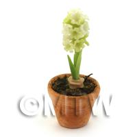 Dolls House Miniature White Hyacinth in a Terracotta Pot