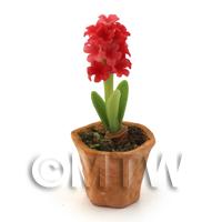 Dolls House Miniature Red Hyacinth in a Terracotta Pot