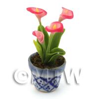 Dolls House Miniature Potted Pink Cala Lily