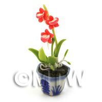 Dolls House Miniature Red Dendrobium Orchid 