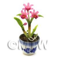 Dolls House Miniature Pink Soph Orchid 