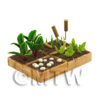 4 Miniature Garden Wooden Crates With Growing Vegetables