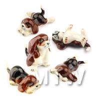Dolls House Miniature Set of  5 Ceramic Beagle Puppies