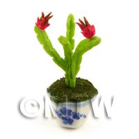 Miniature Cactus With 2 Red Flowers In A Blue Pattern Ceramic Pot 