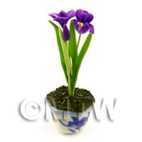 Dolls House Miniature Purple Iris In A Blue Pattern Ceramic Pot 