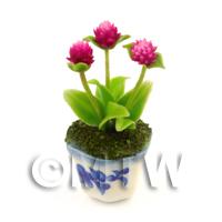 Miniature Plant With 3 Beautiful Pink Flowers In A Blue Pattern Ceramic Pot