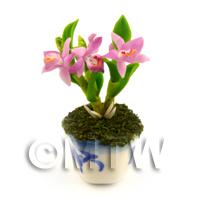 Dolls House Miniature Light Purple Orchid In A Blue Pattern Ceramic Pot 