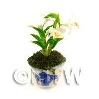 Dolls House Miniature White Orchid In A Blue Pattern Ceramic Pot 