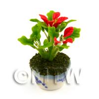 Miniature Red And Green House Plant In A Blue Pattern Ceramic Pot