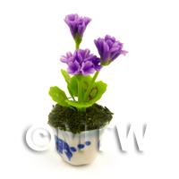 Plant With Multiple Purple Flowers In A Blue Pattern Ceramic Pot