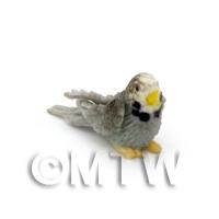 Dolls House Miniature Grey Budgie With White Head