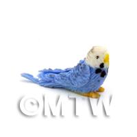 Dolls House Miniature Blue And White Budgie