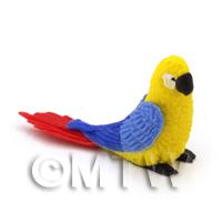 Yellow Dolls House Miniature Parrot with Blue Wings and Red Tail