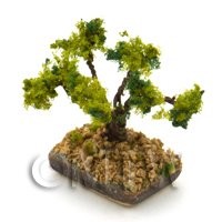 Dolls House Miniature 1/12th Scale Bonsai Tree