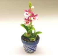 Dolls House Miniature Pink Orchid in a Blue Ceramic Pot