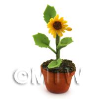 Dolls House Miniature Sunflower in a Terracotta Pot