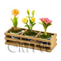 1:12th 3 Flowers and Planter Without Legs Kit
