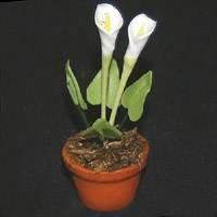 Dolls House Miniature Potted White Cala Lillies Opening