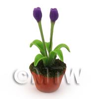 1/12th scale - Dolls House Miniature Potted Purple Tulip