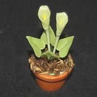Dolls House Miniature Potted Opening Cala Lilly