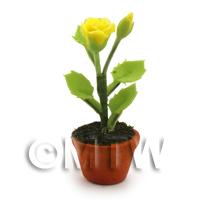 Dolls House Miniature Potted Yellow Rose