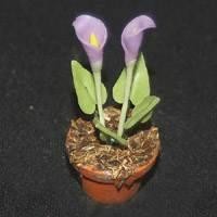 Dolls House Miniature Potted Mauve Opening Cala Lilly