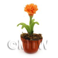 Dolls House Miniature Potted Orange Carnation