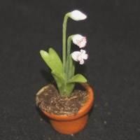 Dolls House Miniature Potted Pink And White Flower