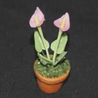 Dolls House Miniature Potted Pink Cala Lilly