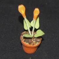 Dolls House Miniature Potted Orange Tulip