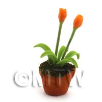 Dolls House Miniature Potted Orange Tulip