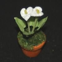 Dolls House Miniature Potted White Cala Lilly