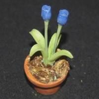 Dolls House Miniature Potted Blue Tulip