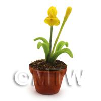 Dolls House Miniature Potted Yellow Iris