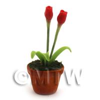 Dolls House Miniature Potted Red Tulip