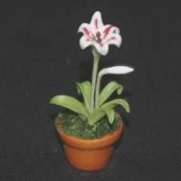 Dolls House Miniature Potted White And Red Lilly