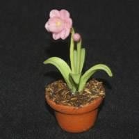 Dolls House Miniature Potted Pink Flower