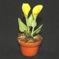 Dolls House Miniature Potted Yellow Opening Cala Lilly