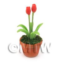 Dolls House Miniature Potted Red Tulip